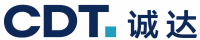 CDT Professional Services